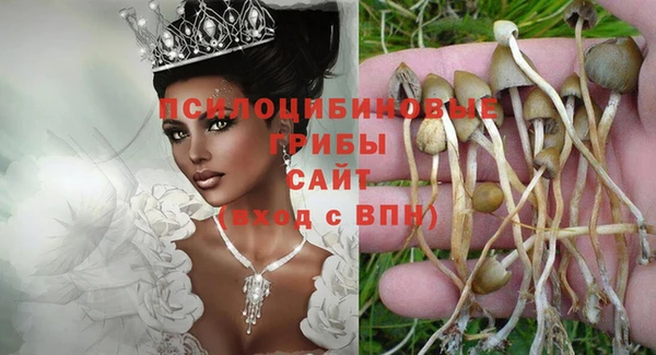 ALPHA PVP Алзамай